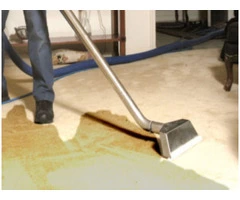 Looking for a professional carpet stain removal service in London?