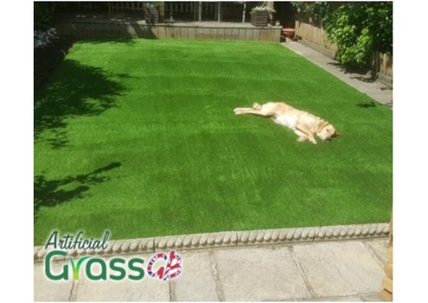 Looking to Give Your Outdoors a Lush, Green Appeal? Buy Artificial Grass!
