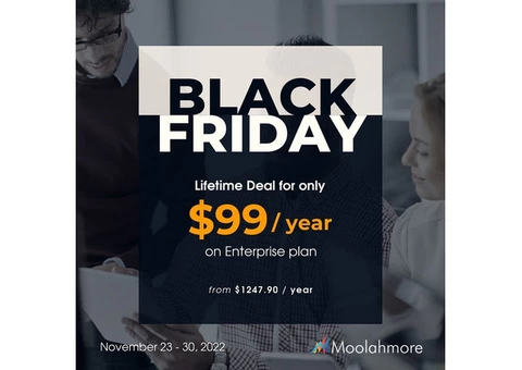 Moolahmore Cash Flow Tool - Black Friday On Sale and Promo