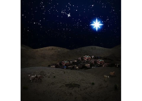 Bethlehem Night Scene Backdrop