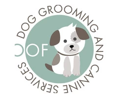 Professional Dog Grooming Service in Plymouth