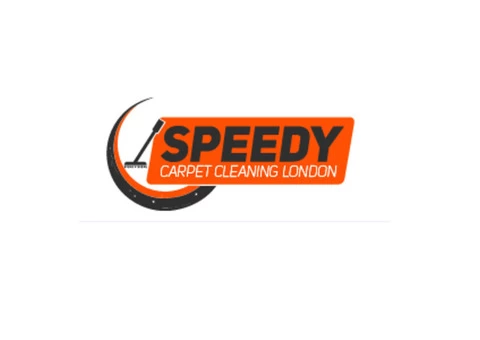 Searching for Professional Carpet Mould Removal Service in London?