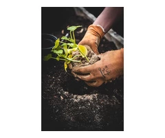 Garden Gardening Services Dundee - Low Rates On High Quality Work