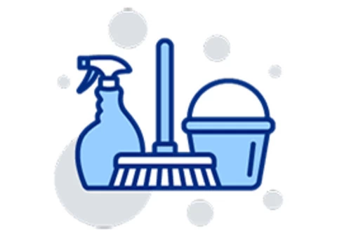 professional carpet cleaning
