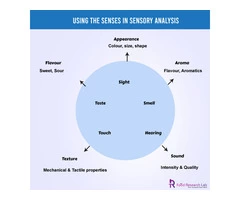 Food Sensory Testing Services