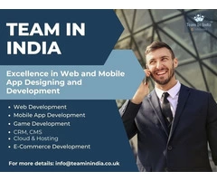 Let Our Salesforce Developers Work For You