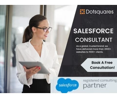 Hire An Expert Salesforce Developer