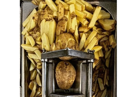 Treat Your Taste With Best Fries Wishaw