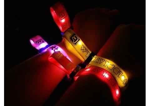 Coldplay Lights Tour - Xylobands