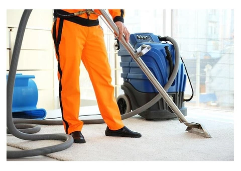 Carpet Cleaning Nottingham - 3/5