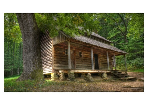 Log Cabins - 4/8