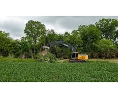 Need Tree Care Service? Get yours online in Dundee today!