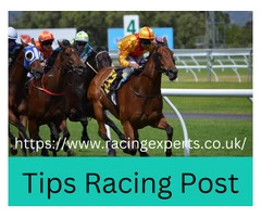 Tips Racing Post