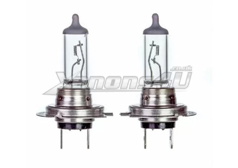 PX26d H7 55W Halogen Headlight Bulbs
