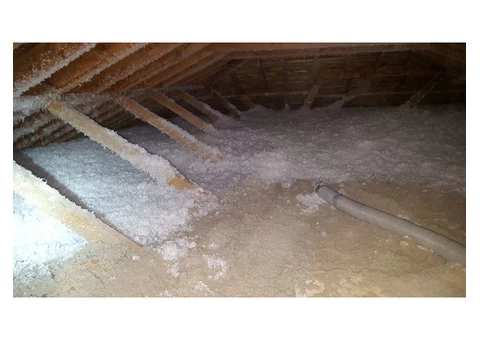 Leading Company of Spray Foam Removal in Dorset