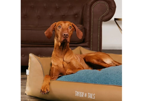 Are you looking for a dog bed for medium dog? Contact Taylor & Tails