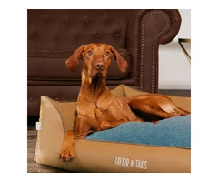 Are you looking for a dog bed for medium dog? Contact Taylor & Tails