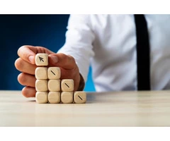Effective Governance for Organizations: A Board Review Checklist