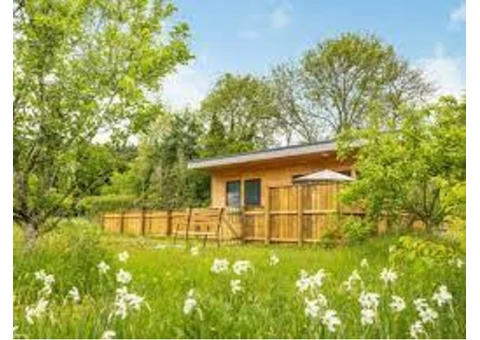 Log Cabins - 2/8
