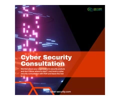 Expert cyber security consultation: protecting your business from online threats