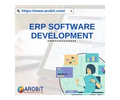 ERP Service Providers
