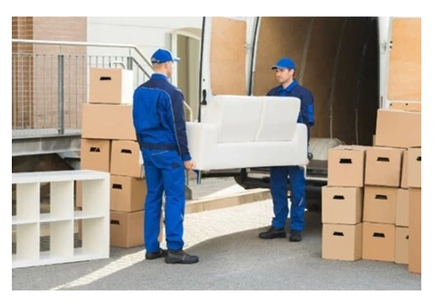 Furniture Removal