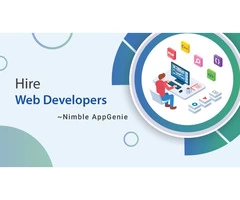 Hire web developers- Nimble AppGenie