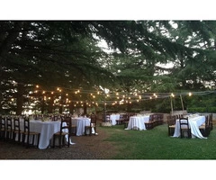 Luxury Wedding Planner In Puglia