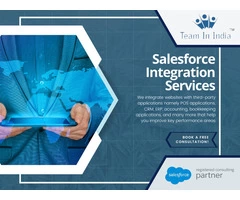 Professional Salesforce Development Services