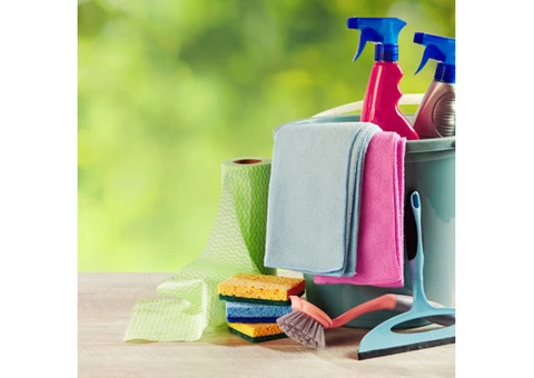 Domestic/household cleaning