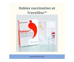 Rabies vaccinations
