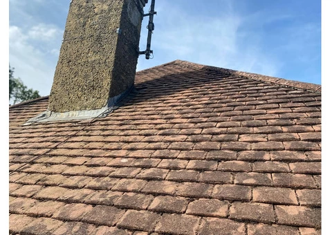 Find Moss Removal Service in Burgess Hill - 1/3