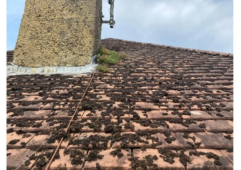 Find Moss Removal Service in Burgess Hill - 2/3