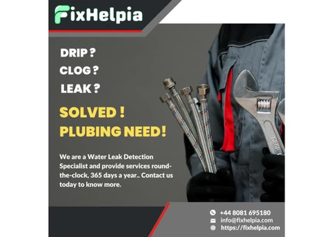 Water Leak Detection Experts Windsor