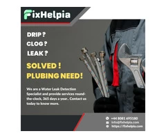 Water Leak Detection Experts Windsor