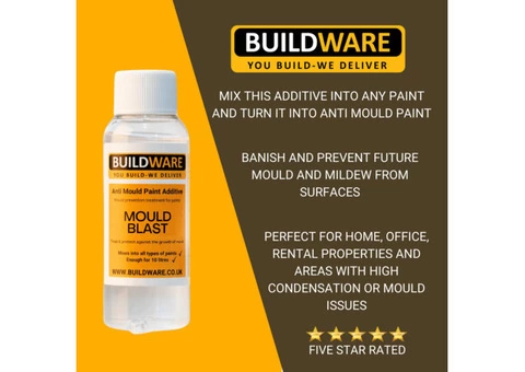The Best Anti Mould Paint Additive Prevention