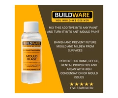 The Best Anti Mould Paint Additive Prevention