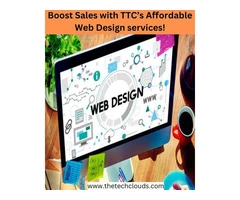 Boost Sales with TTC’s Affordable Web Design services!