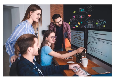 Professional Web Development Services in United Kingdom - 5/6
