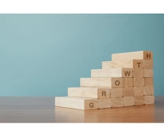Career Analysts