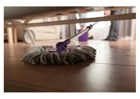 Professional Fortnightly Cleaning At The Best Price!