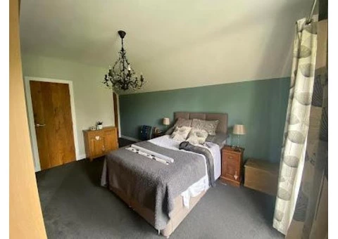 Best Painter and Decorator in Colton