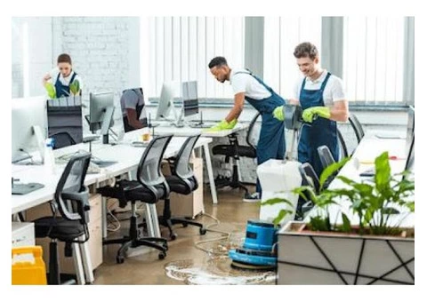 Best Cleaning Services in North Finchley