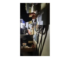 Best Electrician in Marldon