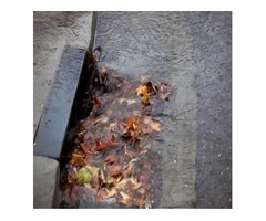 Drain repair specialist in Liverpool