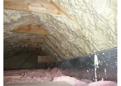 Popularity of Spray Foam Removal in Scotland
