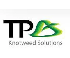 Japanese Knotweed Removal Manchester