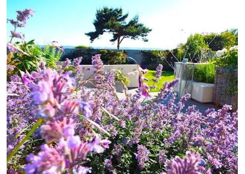 Best Landscaper in Birkenhead