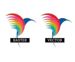 What are vector graphics used for?