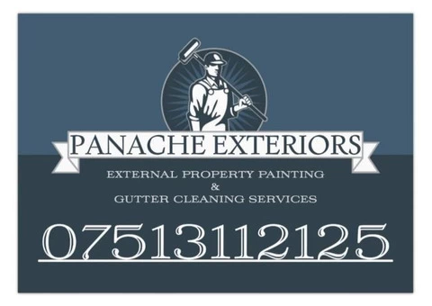 External property painting and gutter cleaning services